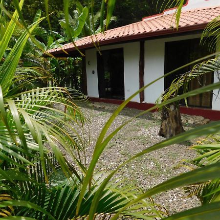 Villas Jungle 5 Sámara Zewnętrze zdjęcie
